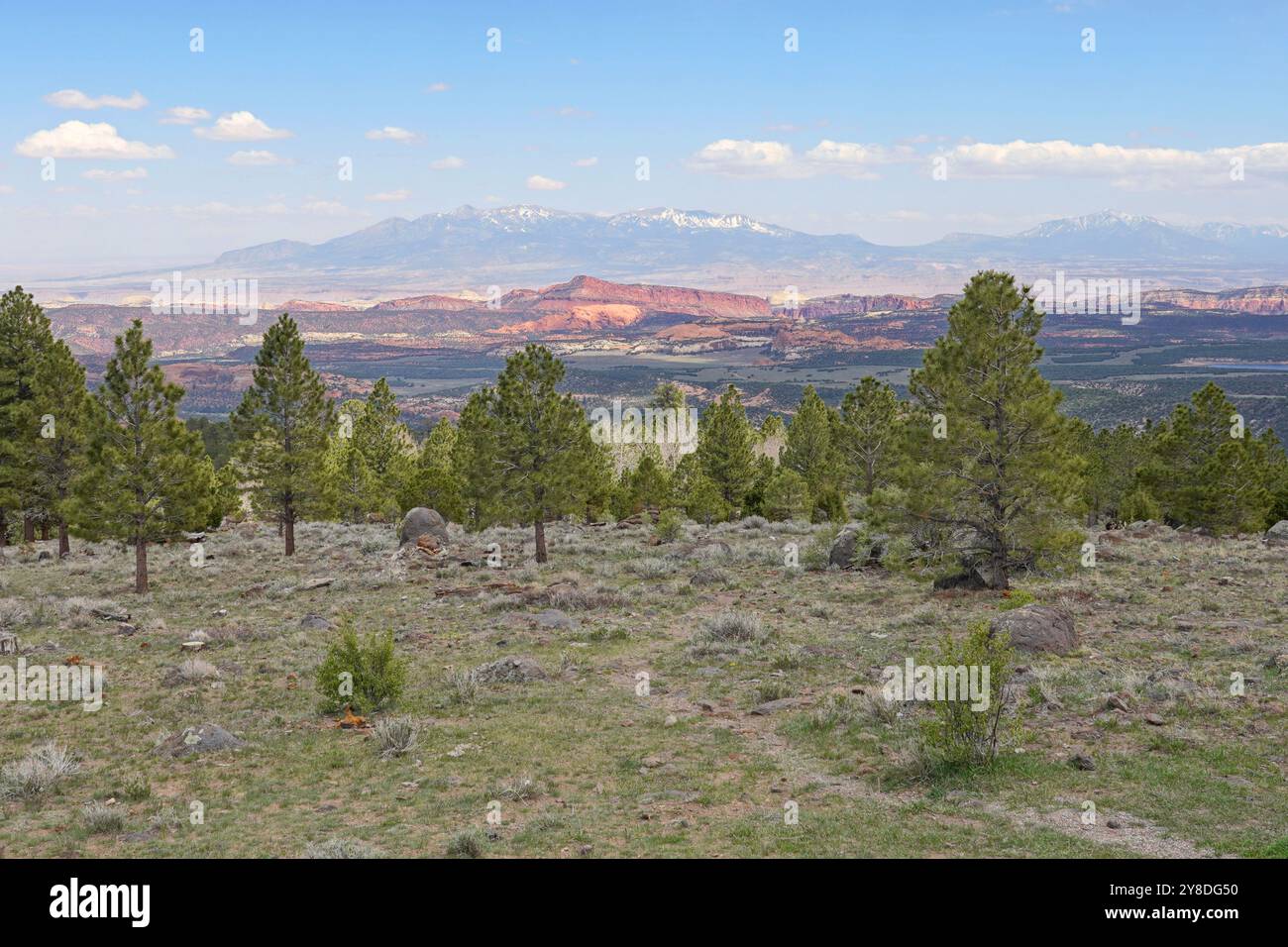 Larb Hollow überblickt den Scenic Byway UT-12 in Utah Stockfoto