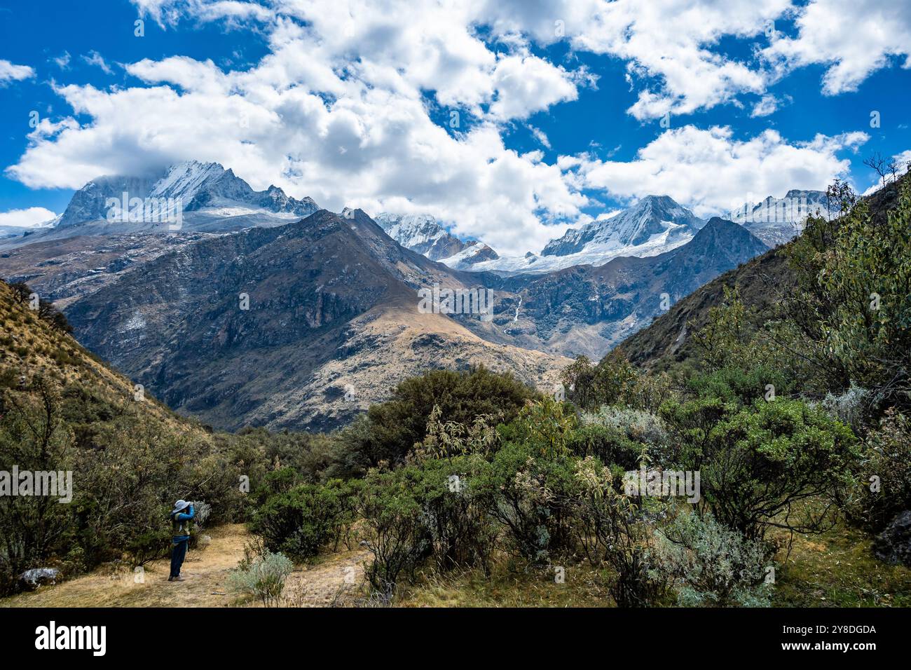 Eine weibliche Vogelbeobachterin, die auf den Bäumen unter den Gletscherspitzen der Anden nach Vögeln sucht. Peru, Südamerika. Stockfoto