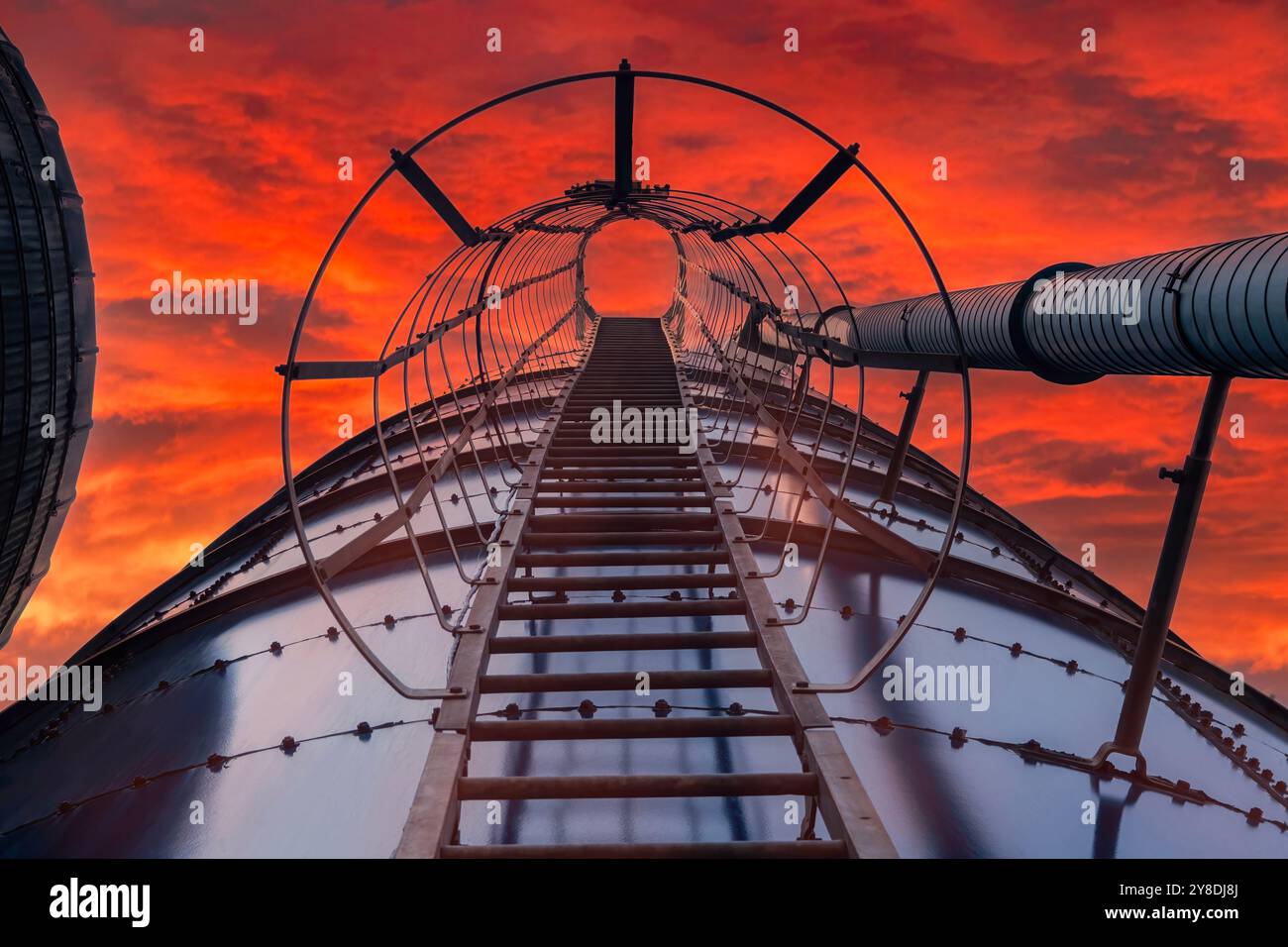 Ich schaue auf eine Siloleiter mit leuchtendem orangefarbenem Himmel Stockfoto
