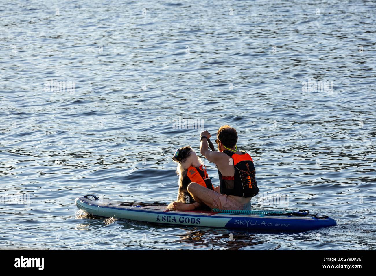 Eine Person und ein Hund tragen Schwimmwesten und paddeln auf einem ruhigen See. Stockfoto