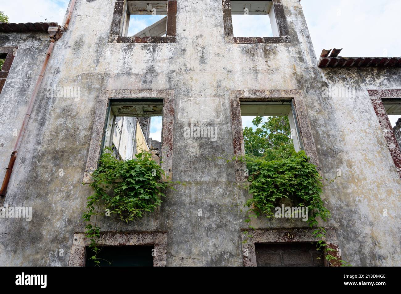 Verlassenes Gebäude, das von Grün auf Madeira überholt ist, die Natur wird durch leere Fenster zurückerobert Stockfoto