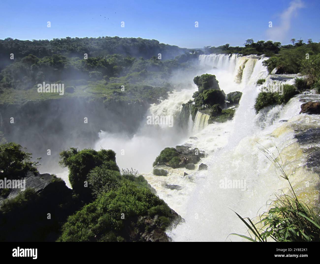 Mias der Iguazu-Wasserfälle in Argentinien Stockfoto