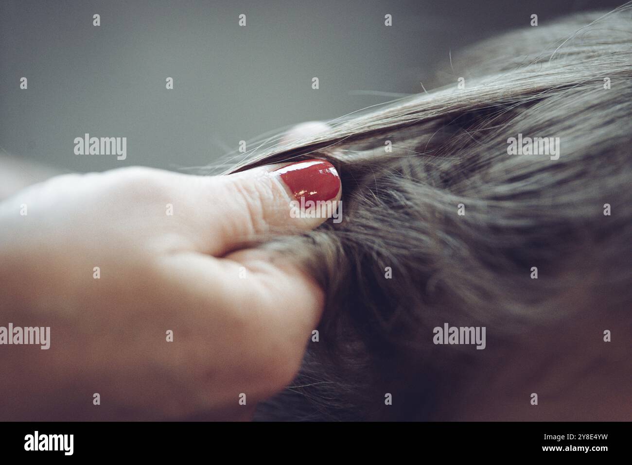Eine Hand mit rotem Nagellack hält die Haare einer Person vorsichtig zusammen Stockfoto