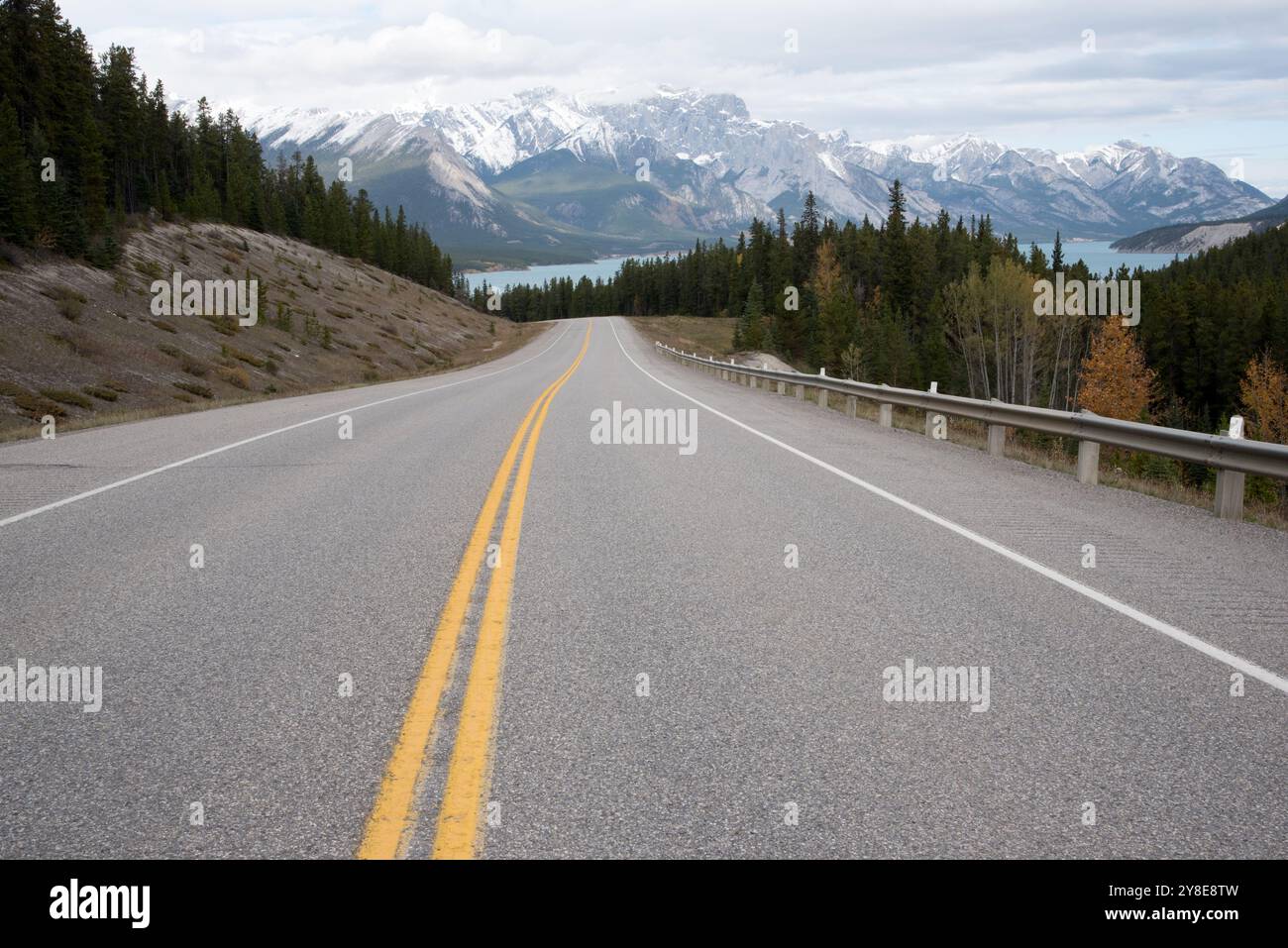 Canadian Rocky Mountains in Alberta in Kanada vom David Thompson Highway aus gesehen am Fuße der Rockys. Stockfoto