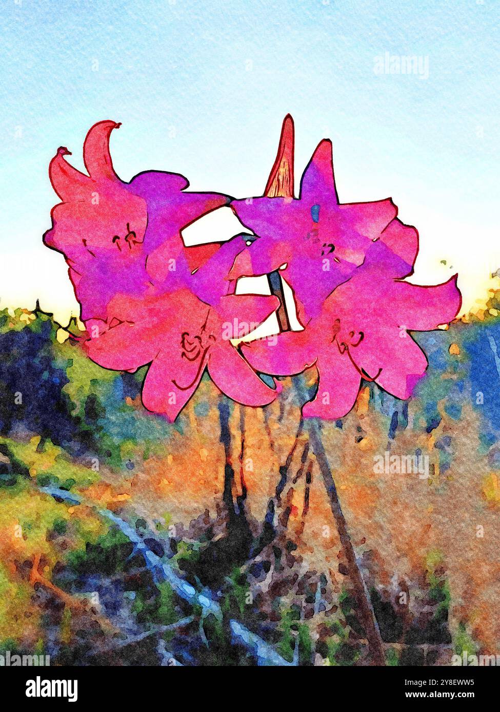 Rote und lila Blumen im Wald bei Sonnenaufgang in Aquarell gemalt. Stockfoto