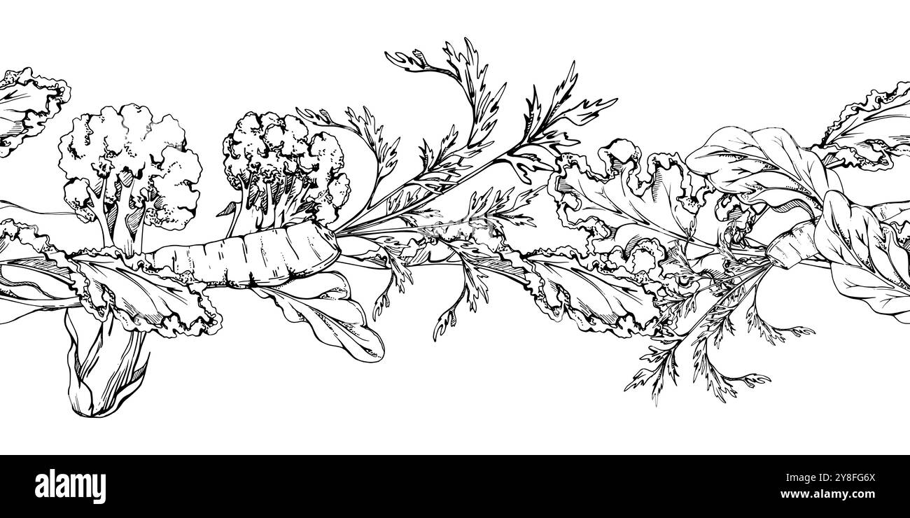 Hand gezeichnet Vektor Tinte Gemüse und grüne Salat Mischung für Ernährung, gesunden Lebensstil, vegane Kochen. Abbildung nahtloser Rand isoliert auf weiß Stock Vektor