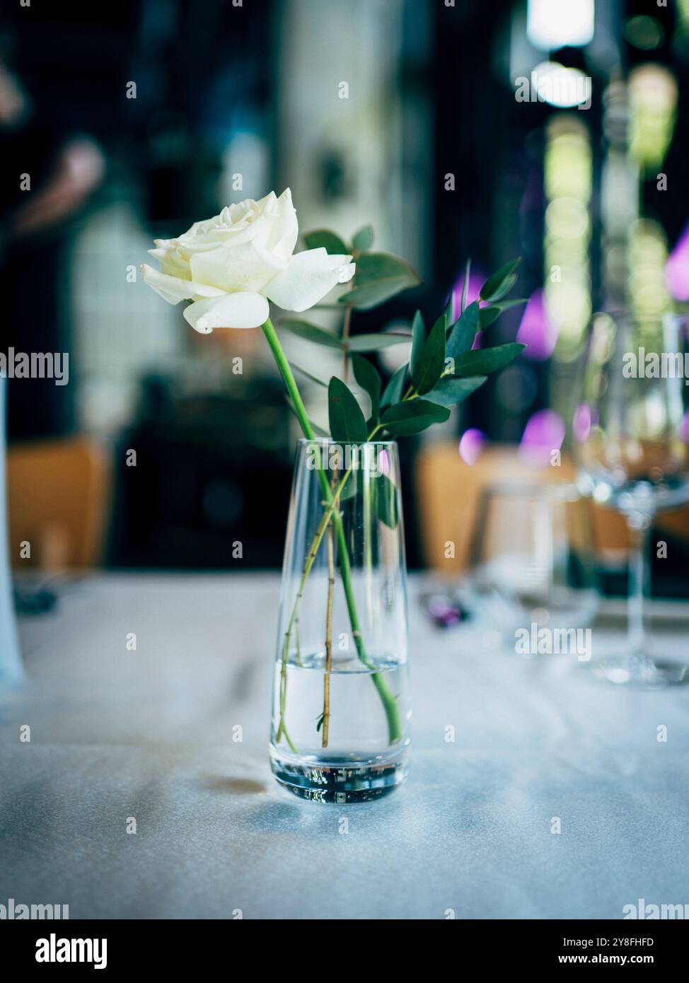 Minimalistisches Blumenarrangement in Glasvase. Stockfoto