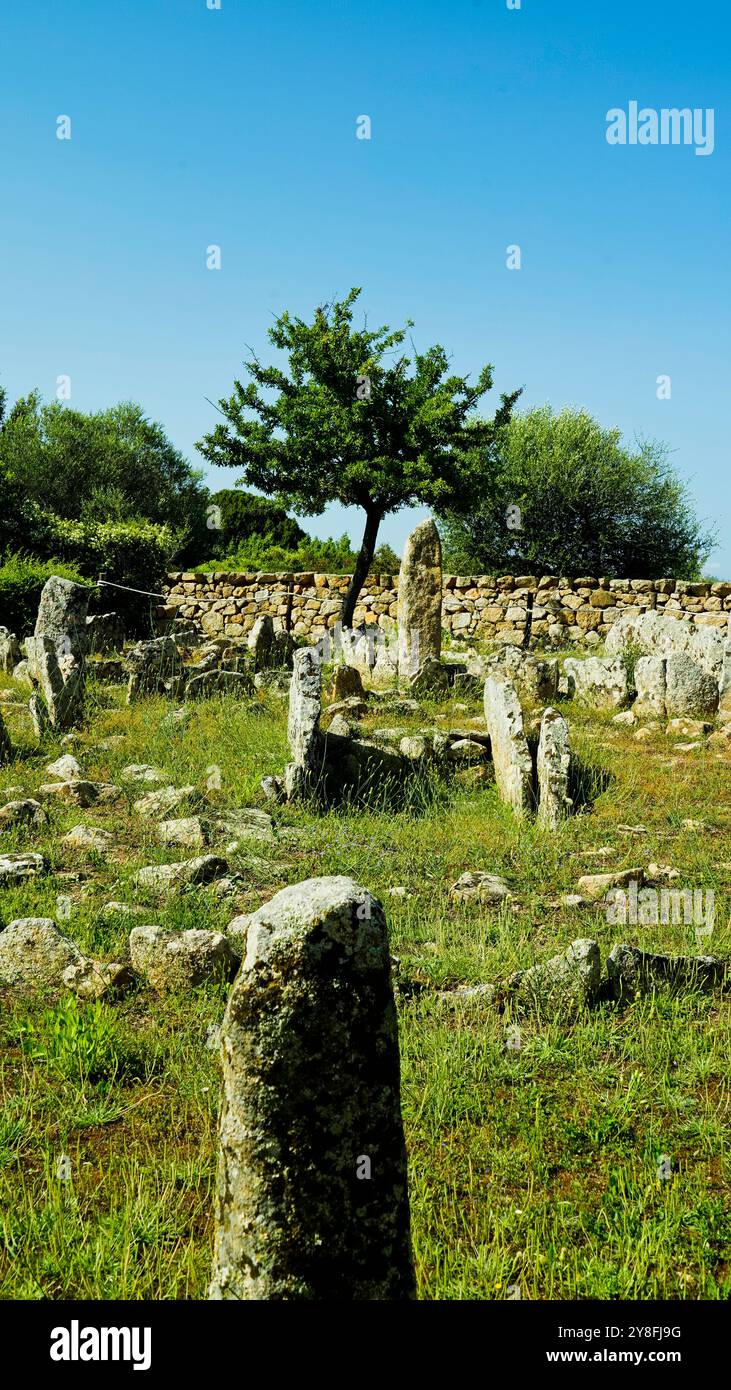 Nekropole von Li Muri. Arzachena. Provinz Sassari, Sardinien. Italien Stockfoto