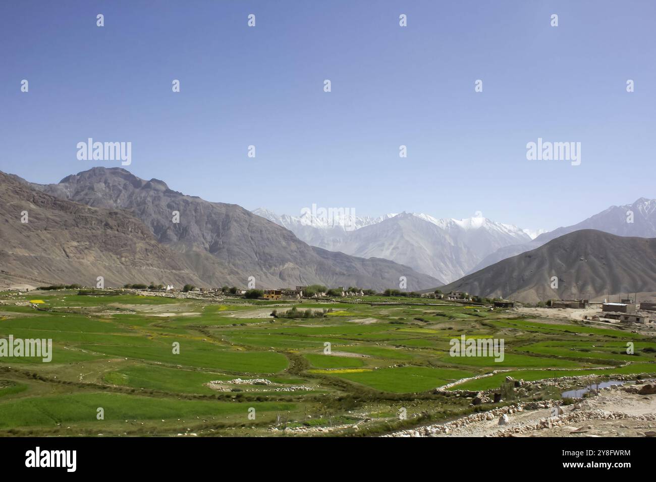 Khardung Dorf und Bauernhöfe mit Berg im Hintergrund, Ladakh, Indien Stockfoto