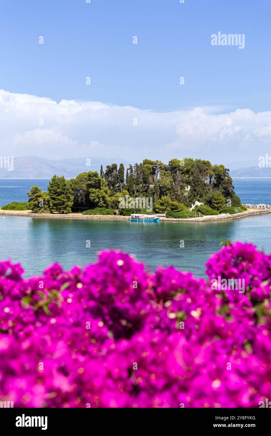 Maus Insel am Mittelmeer mit Blumen Porträt Format Urlaub auf Korfu Insel in Griechenland Stockfoto