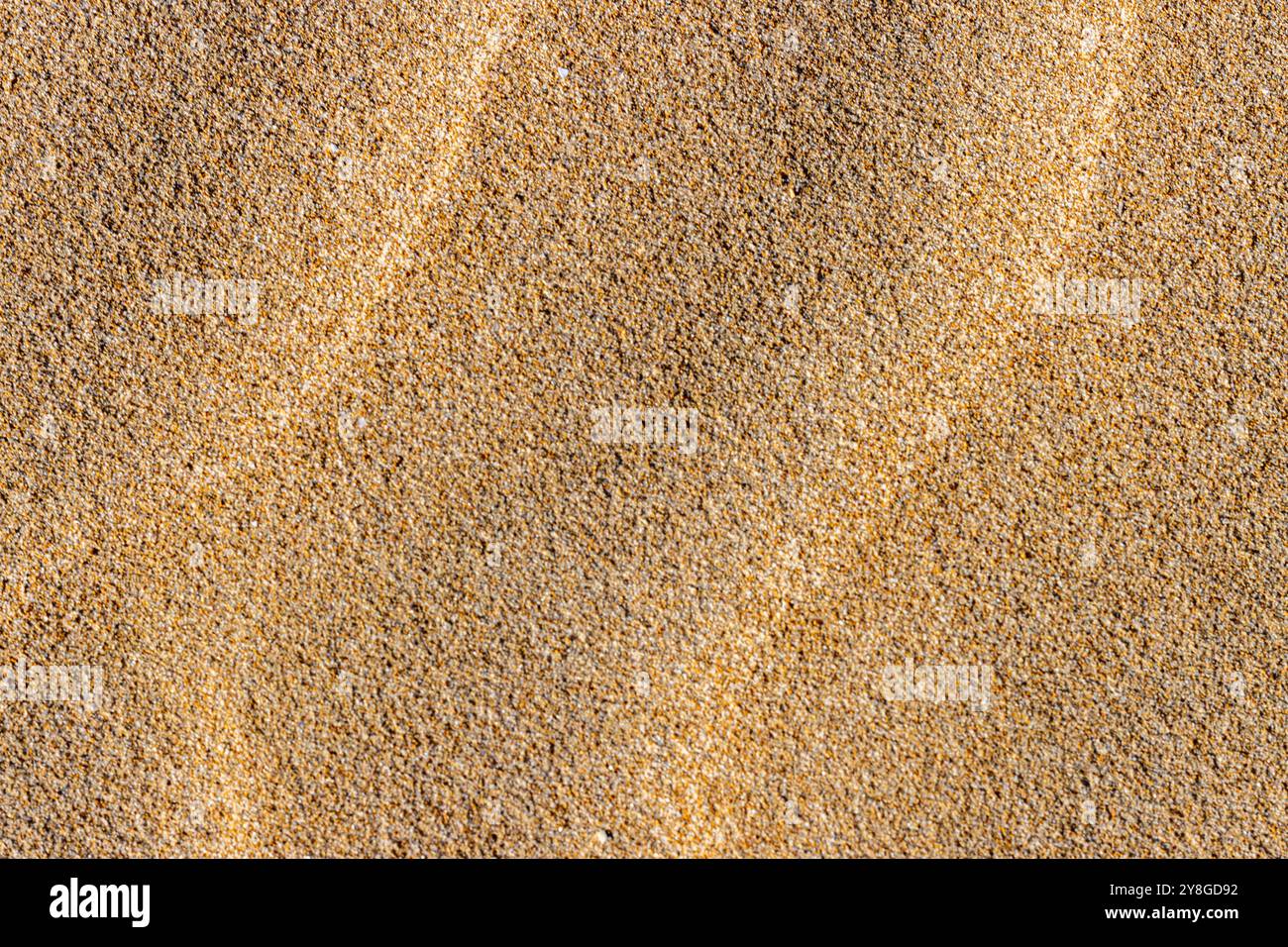 Dieses Bild zeigt eine Nahaufnahme von Sand, die eine Vielzahl kleiner Körner in verschiedenen Braun- und Brauntönen zeigt. Stockfoto