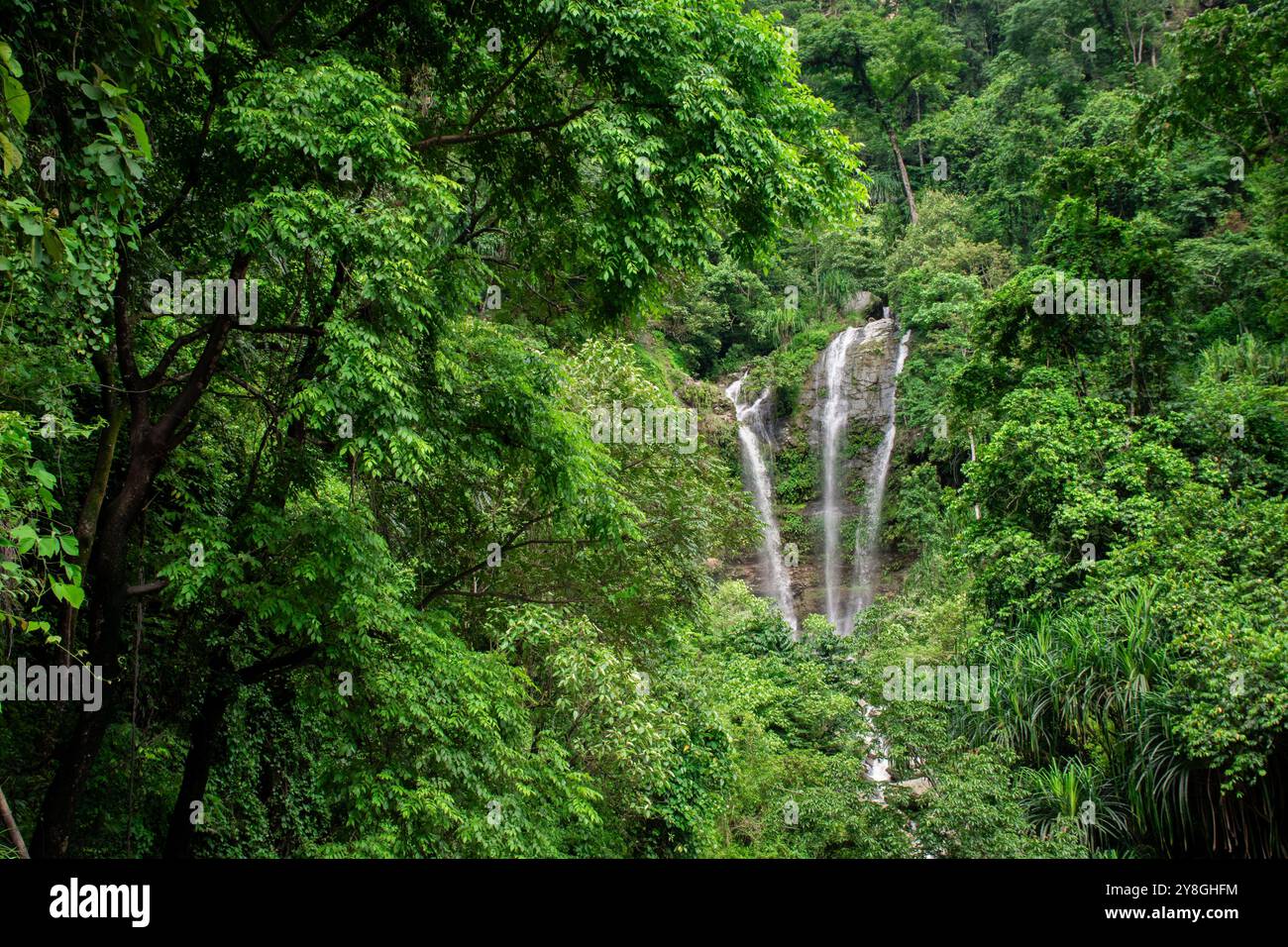 Blick aus der Vogelperspektive auf die wunderschönen Himalaya-Fälle des Chitrey Tista Bazar, Kalimpong Stockfoto