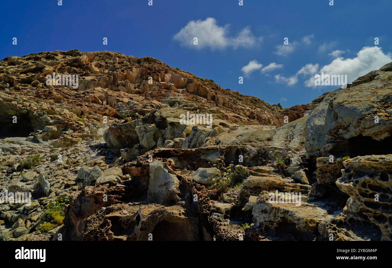 Der Weg der Naturschutzoase Carloforte, San Pietro Island, Sardinien, Italien Stockfoto