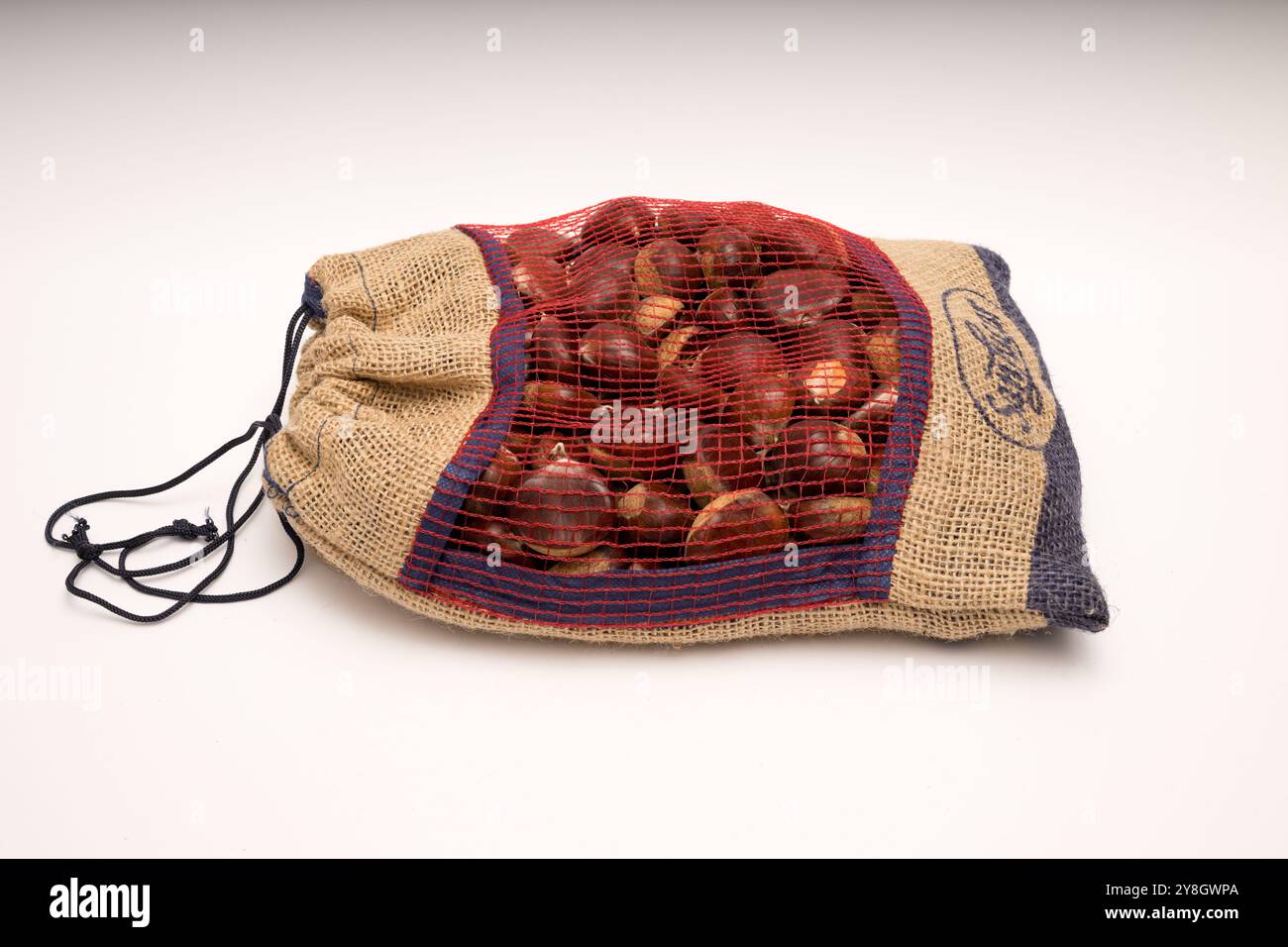 , Deutschland, Rheinland-Pfalz, 05.10.2024, ein Netzbeutel voller frischer Kastanien, verpackt in einem robusten Jutesack. Maronen, Esskastanien, Kas Stockfoto