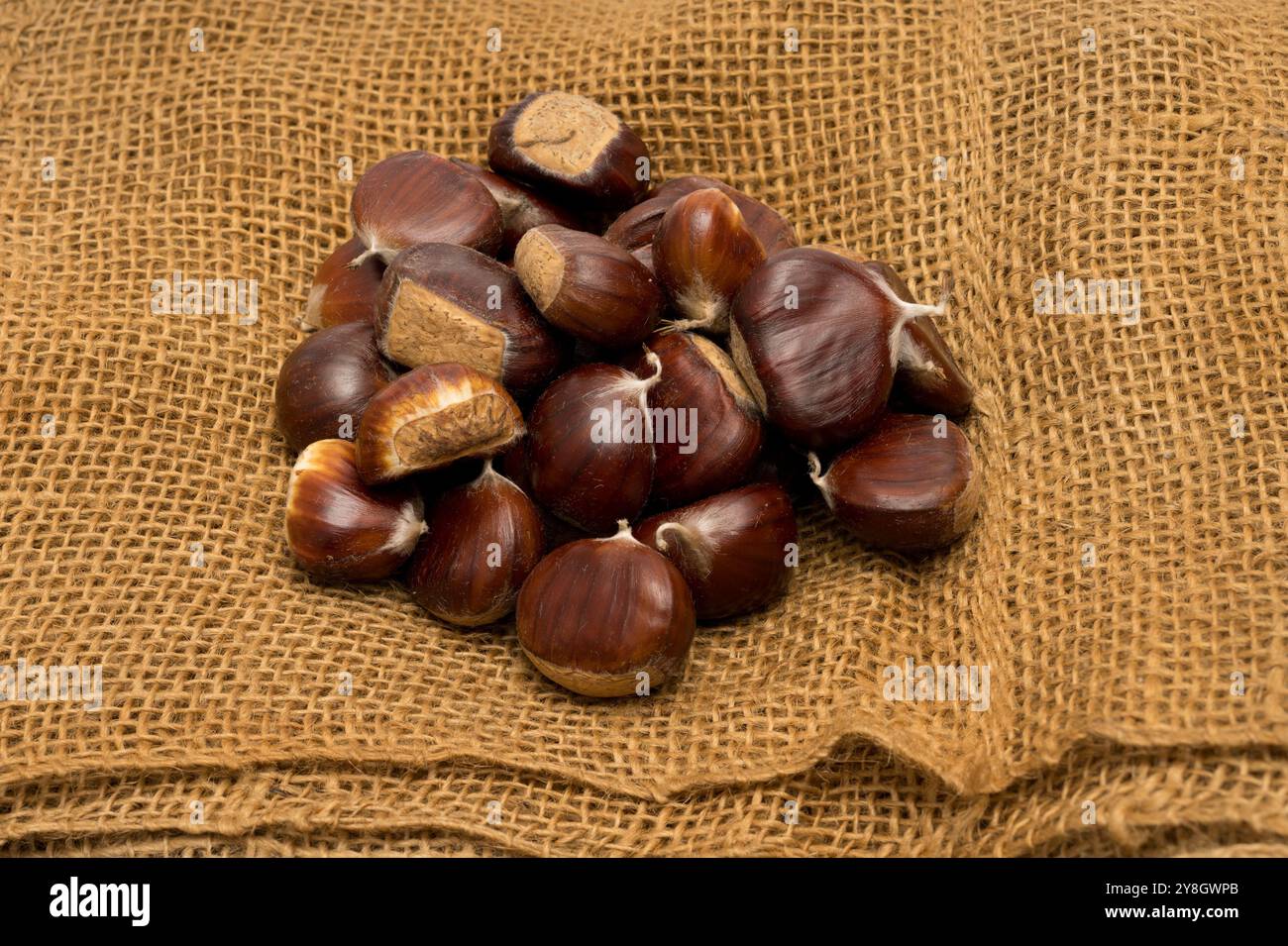 , Deutschland, Rheinland-Pfalz, 05.10.2024, ein Haufen Kastanien liegt auf einem groben Jutesack, symbolisierend die herbstliche Ernte. Maronen, Essk Stockfoto