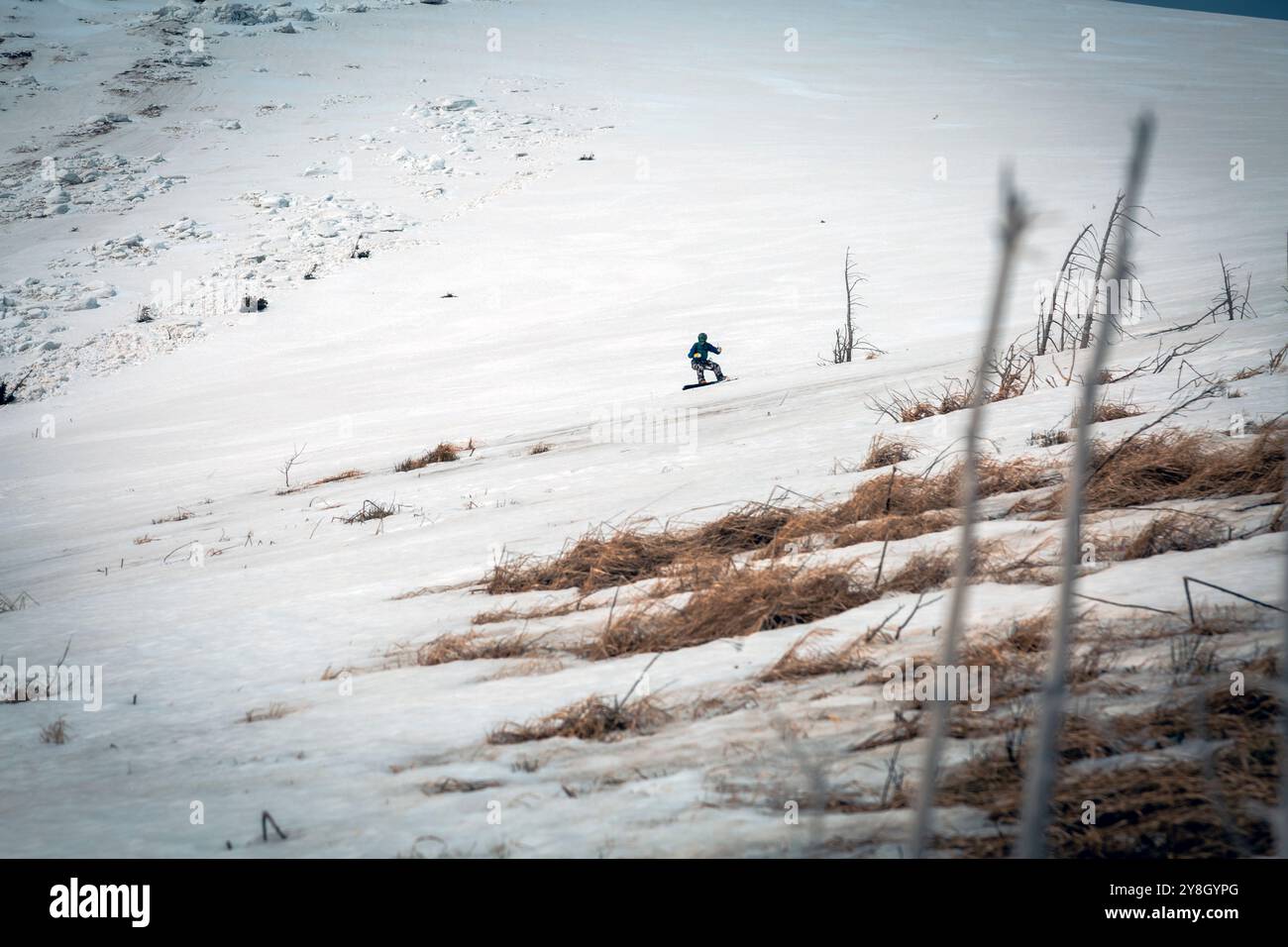 Die kleine Form des Snowboarders steht im Kontrast zu den hoch aufragenden Gipfeln und kargen Bäumen, die das menschliche Element in der großen Gestaltung der Natur hervorheben. Stockfoto