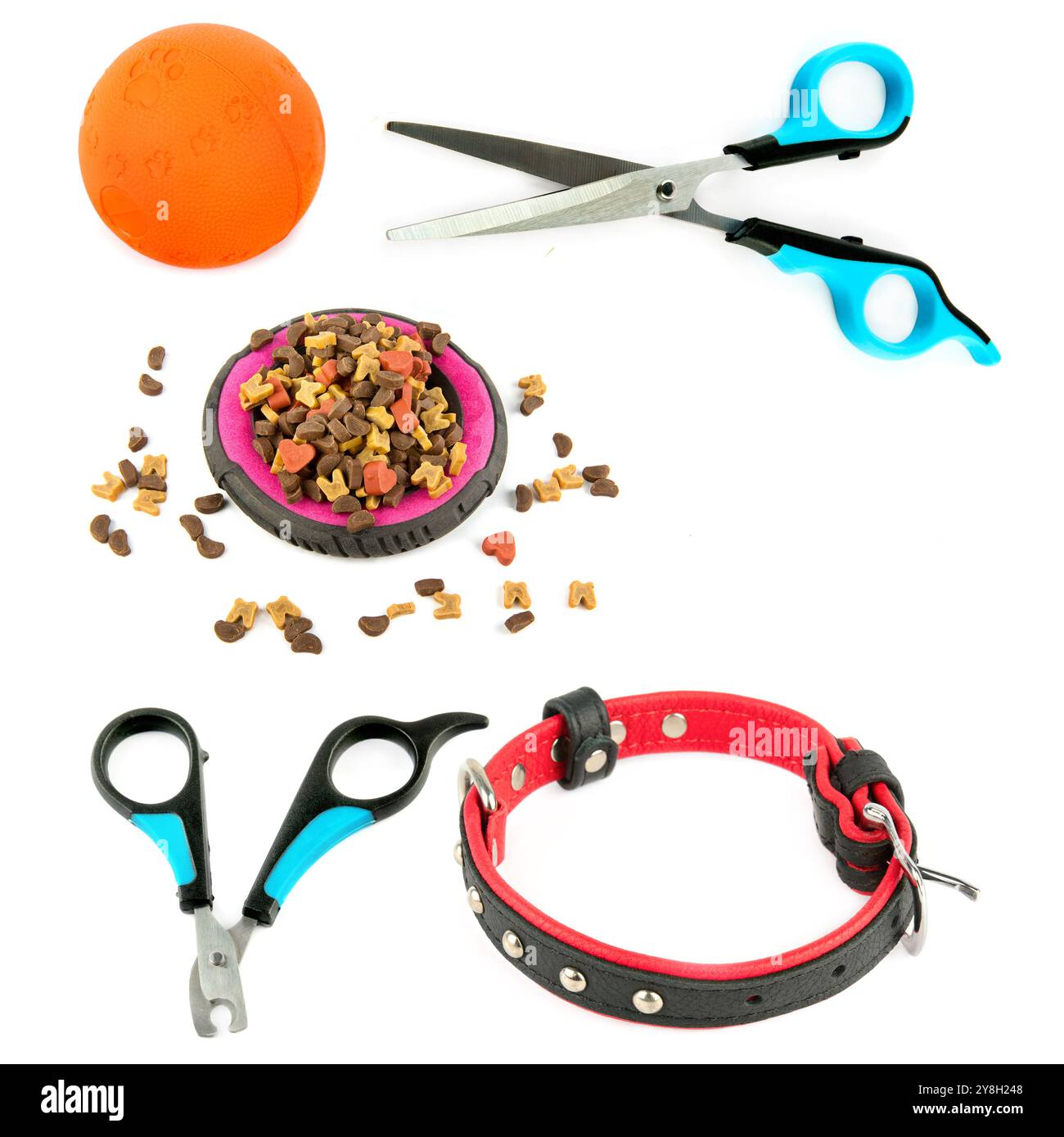 Hundehalsband, Schere, Futter und Ball isoliert auf weißem Hintergrund. Collage. Freier Platz für Text. Stockfoto