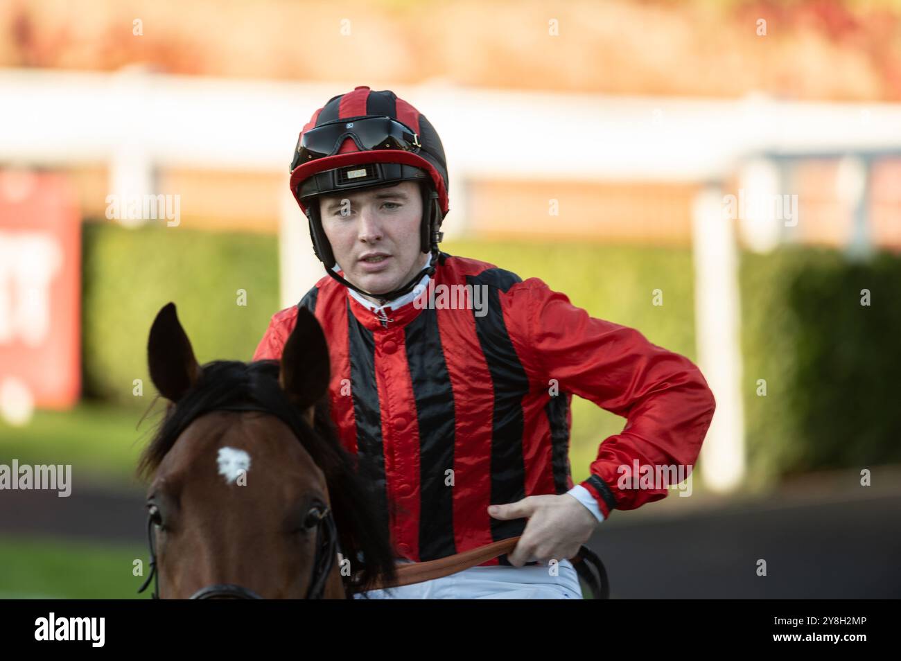 Newmarket, Großbritannien. Oktober 2024. C T Keane auf dem Weg aus dem Paradering vor dem Rennen. Der Virgin Bet Sun Chariot Day ist ein Pferderennen, das auf den Newmarket Racecourses stattfindet. Quelle: David Tramontan / Alamy Live News Stockfoto