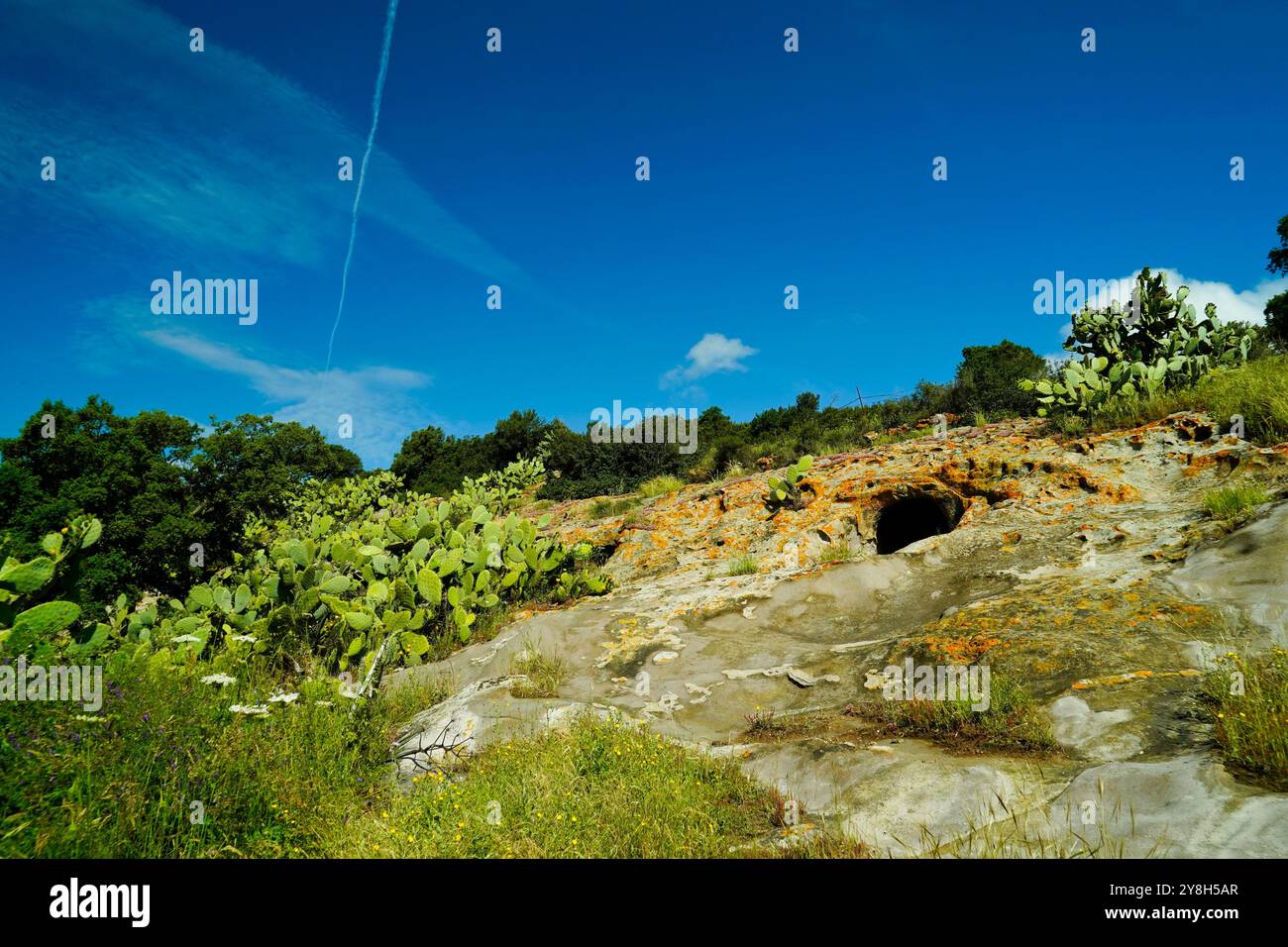Domus de Janas der Nekropole SAS Concas, Provinz Sassari, Sardinien, Italien Stockfoto