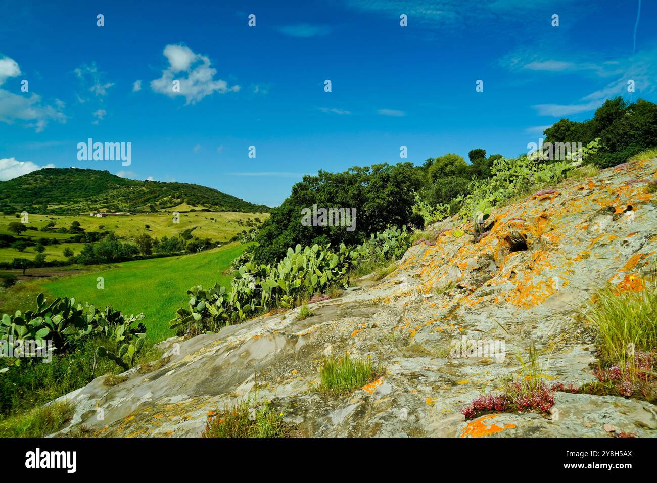 Domus de Janas der Nekropole SAS Concas, Provinz Sassari, Sardinien, Italien Stockfoto