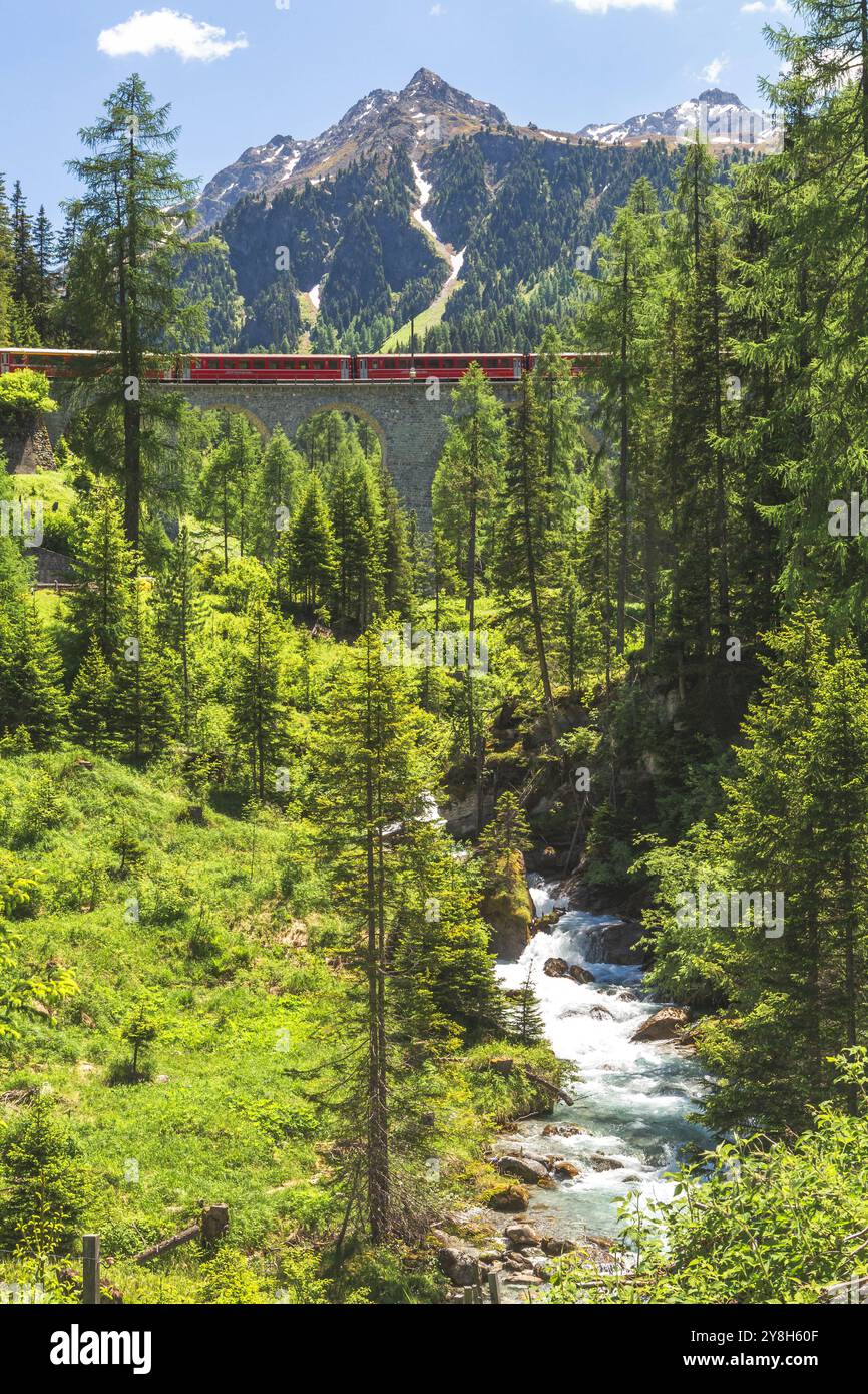 Gletscherexpress auf dem Schmittnertobelviadukt bei Landwasserviadukt, Filisur, Schweiz Stockfoto