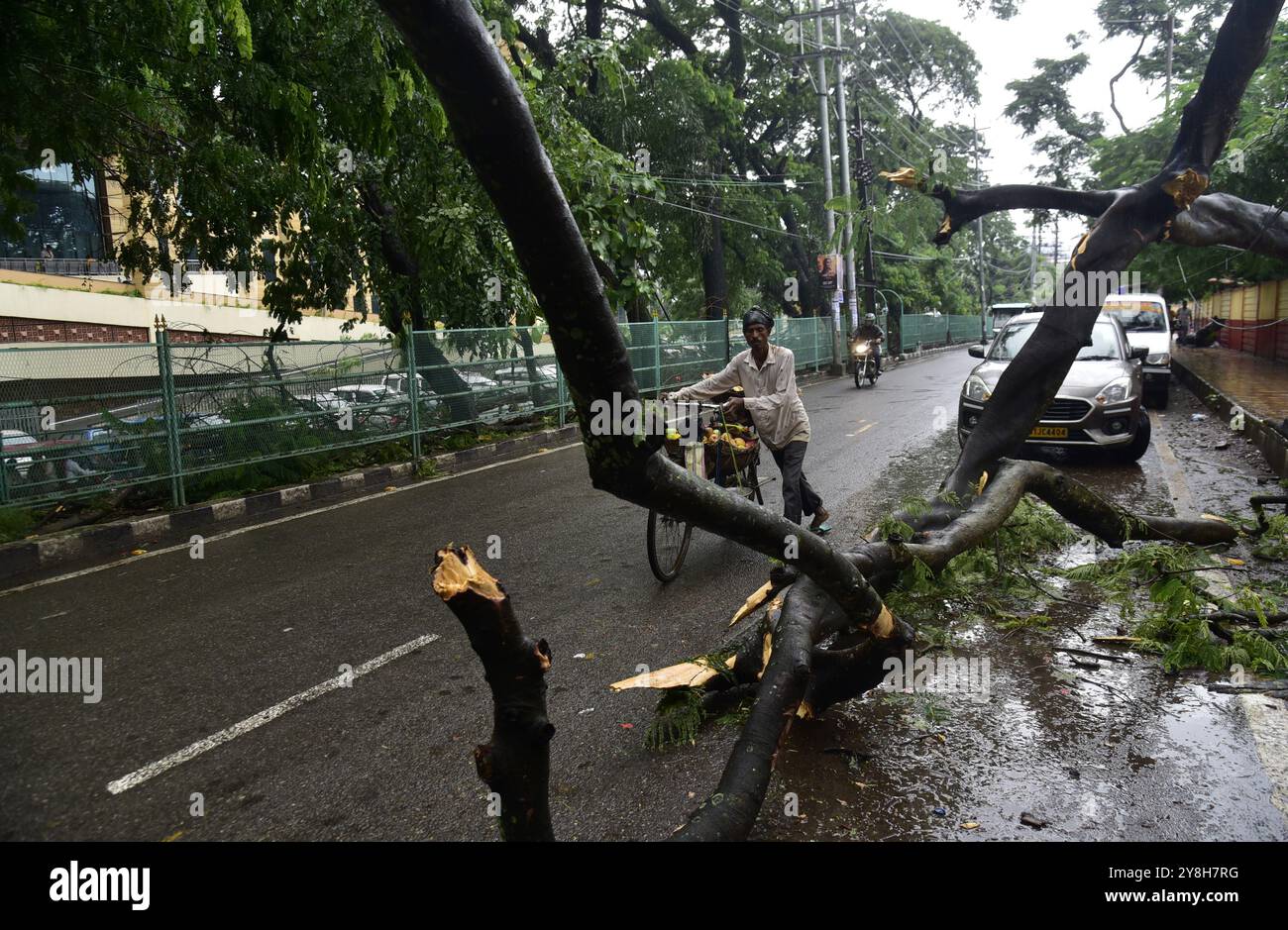 Guwahati, Guwahati, Indien. Oktober 2024. Ein riesiger Baum, der aufgrund des unaufhörlichen Regens in den letzten vier Tagen in Guwahati Indien am Samstag, den 5. Oktober 2024 entwurzelt wurde (Foto: © Dasarath Deka/ZUMA Press Wire), NUR REDAKTIONELLE VERWENDUNG! Nicht für kommerzielle ZWECKE! Quelle: ZUMA Press, Inc./Alamy Live News Stockfoto