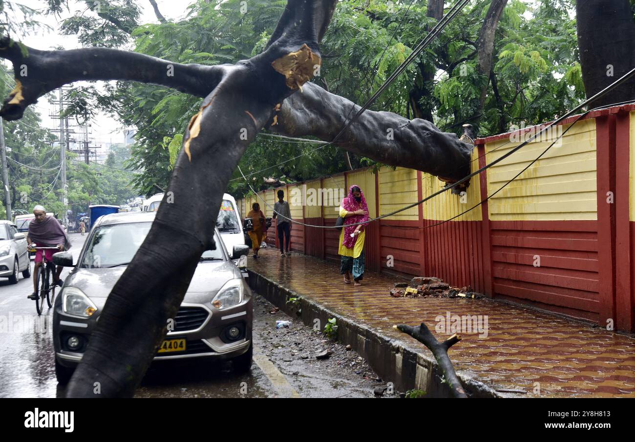 Guwahati, Guwahati, Indien. Oktober 2024. Ein riesiger Baum, der aufgrund des unaufhörlichen Regens in den letzten vier Tagen in Guwahati Indien am Samstag, den 5. Oktober 2024 entwurzelt wurde (Foto: © Dasarath Deka/ZUMA Press Wire), NUR REDAKTIONELLE VERWENDUNG! Nicht für kommerzielle ZWECKE! Quelle: ZUMA Press, Inc./Alamy Live News Stockfoto