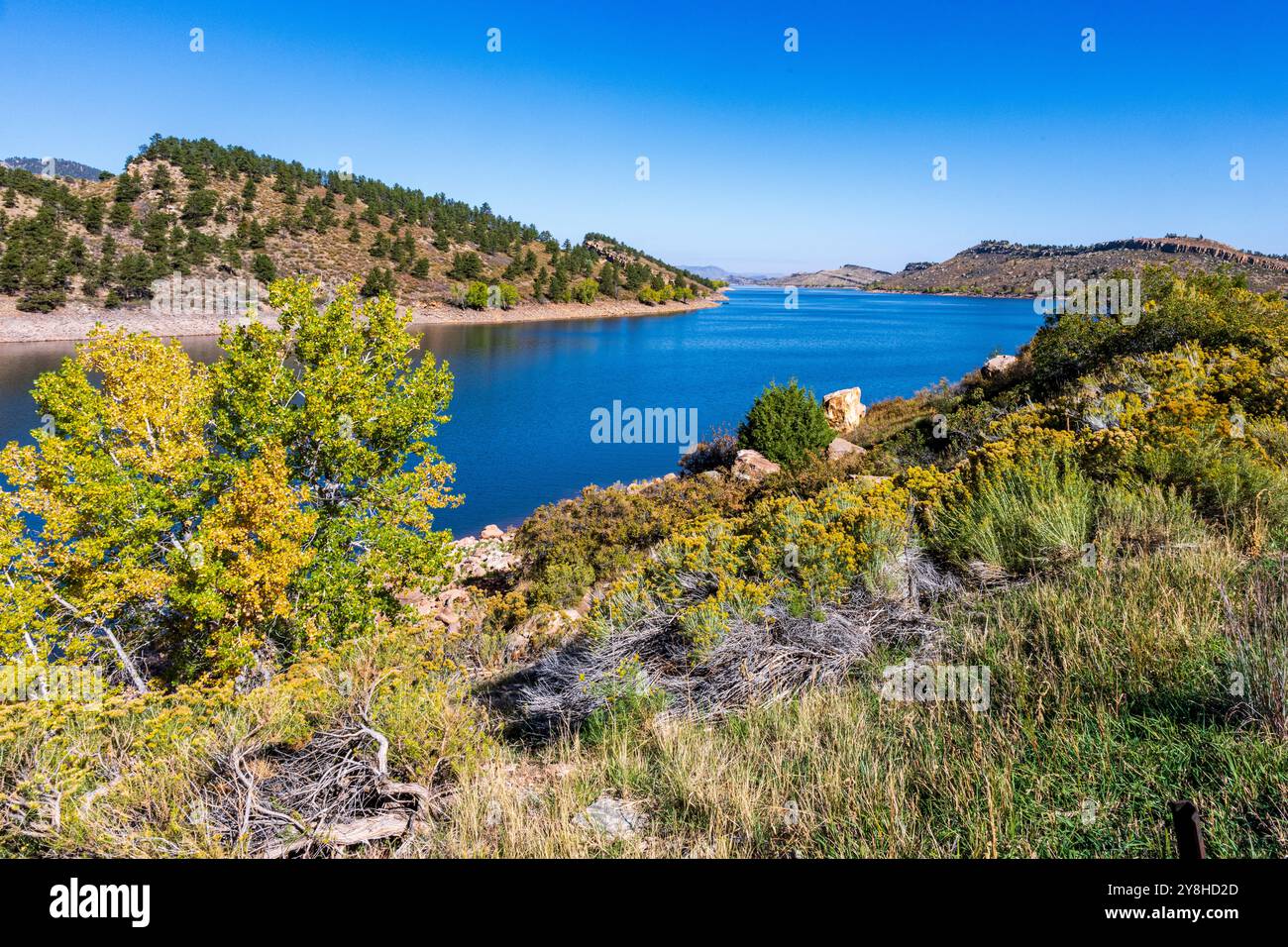 Herbstfarben am Horsetooth Reservoir im Larimar County Colorado Stockfoto