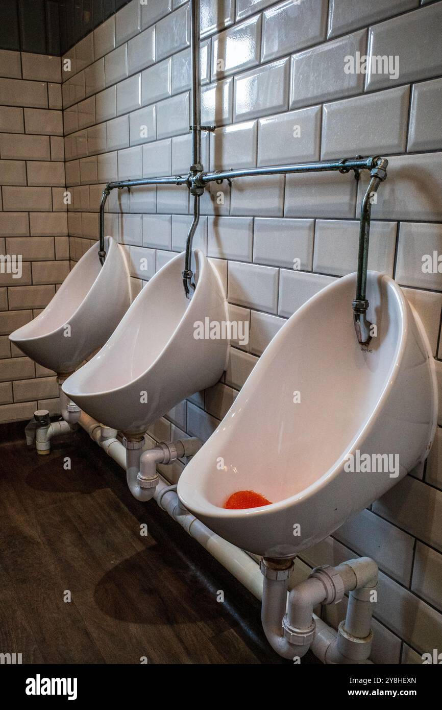 Die Urinale der Herren in einer Toilette des öffentlichen Hauses. Oktober 2024. Wales. Stockfoto