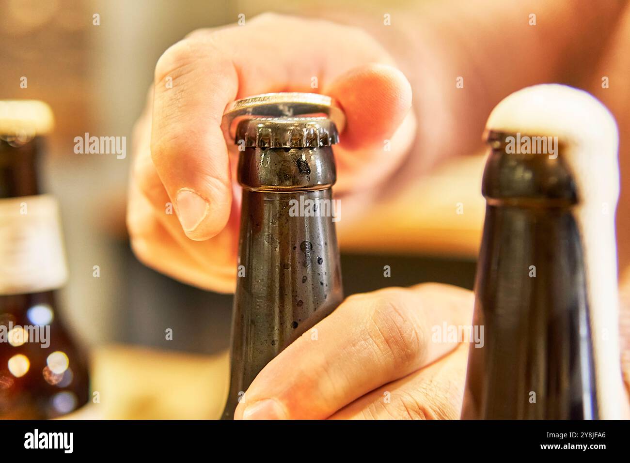 Bierverkostung. Stockfoto