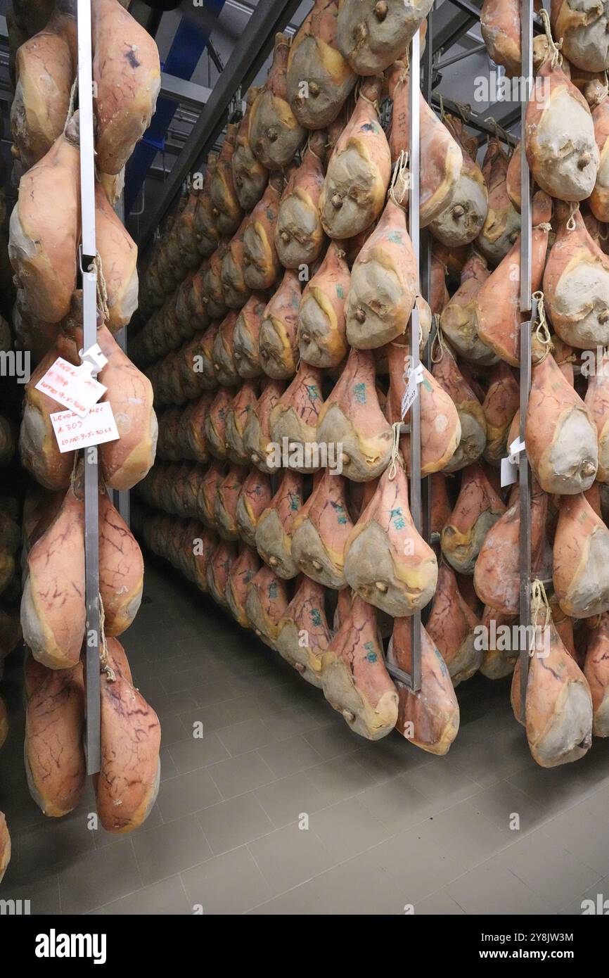 Die Familie Lanfranchi produziert den „Crudo di Parma“ in der Charcuterie Salumificio La Perla. Prosciutto wird mit größter Sorgfalt hergestellt. Stockfoto