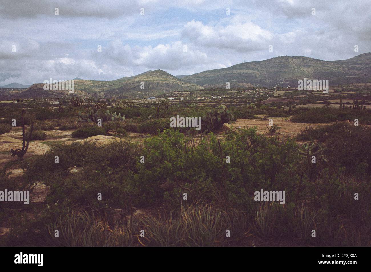 Ruhige Landschaft einer Halbwüstenregion Stockfoto