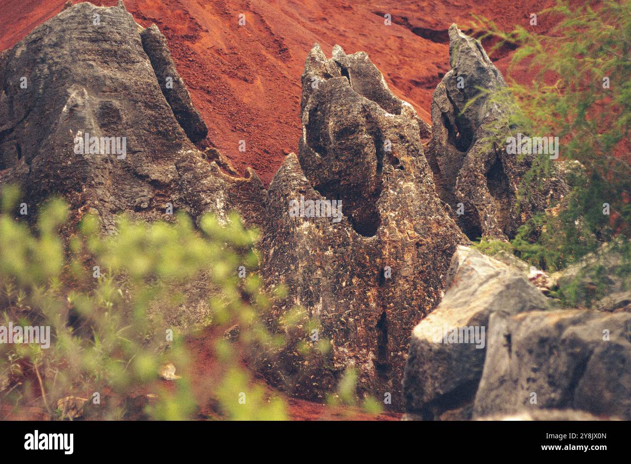 Die Schönheit der Red Desert Dunes Stockfoto