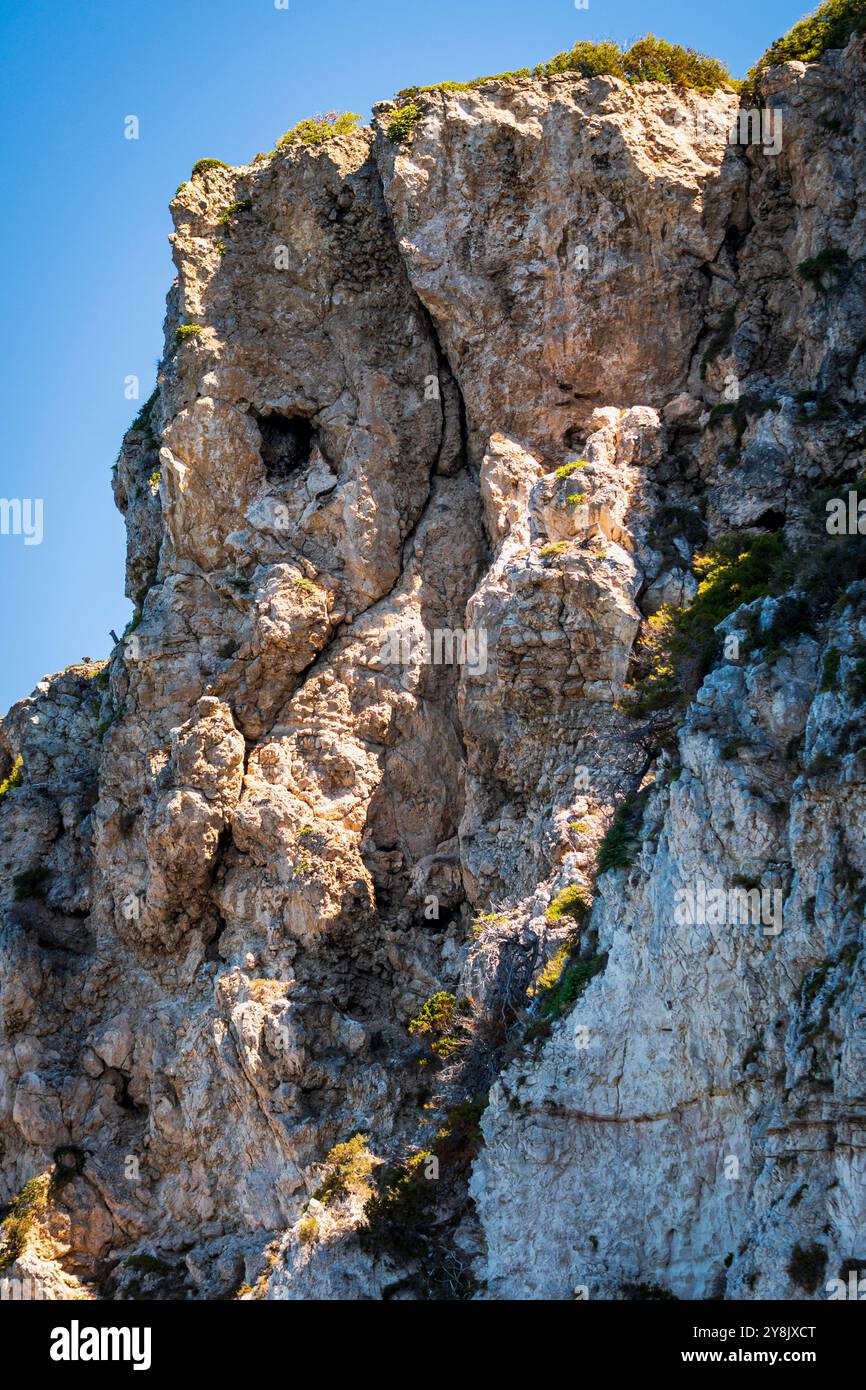 Tremiti-Inseln ab San Domino. Der Elefantenkopf. Stockfoto