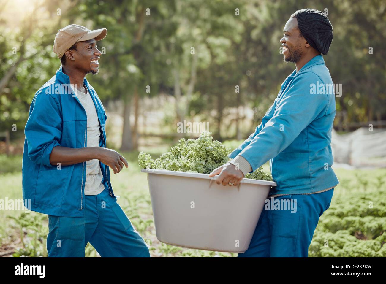 Glückliche, schwarze Menschen und Pflanzen mit Eimer für Ernte, Gemüse oder natürliches Wachstum in der Natur. Afrikaner, Männer oder Bauern mit Freilandkulturen für Agrobu Stockfoto