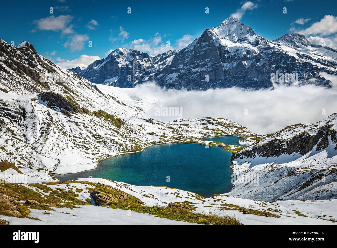 Atemberaubender Alpensee und toller Blick mit hoch verschneiten Bergen über dem Nebeltal, Bachalpsee, Grindelwald, Berner Oberland, Schweiz, Eur Stockfoto