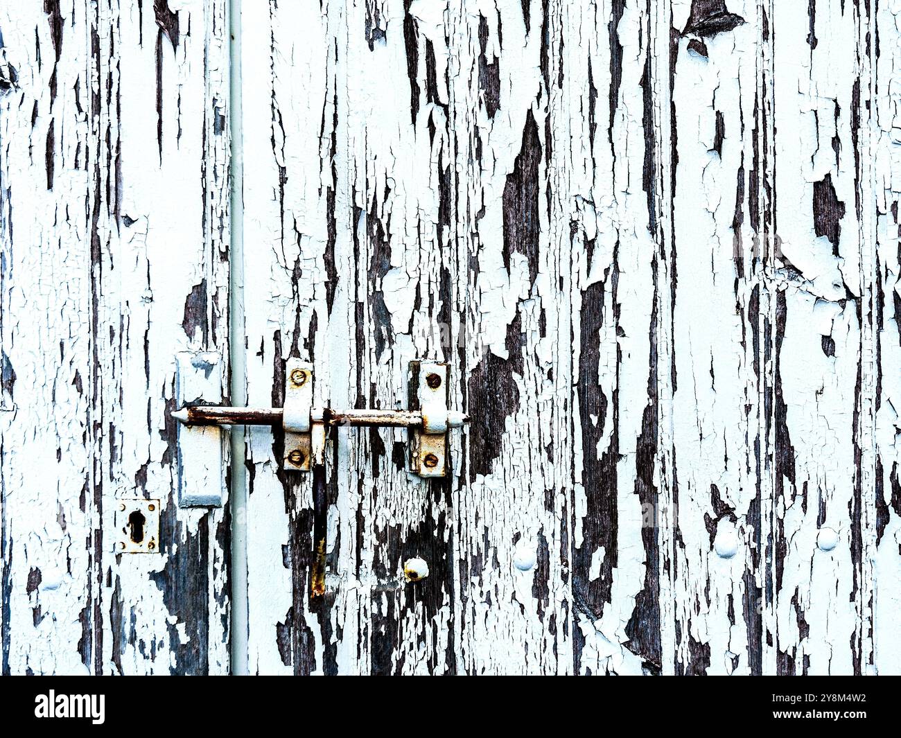 Abblätternde weiße Farbe auf alten Holzdielen Garagentor - La Trimouille, Vienne (86), Frankreich. Stockfoto