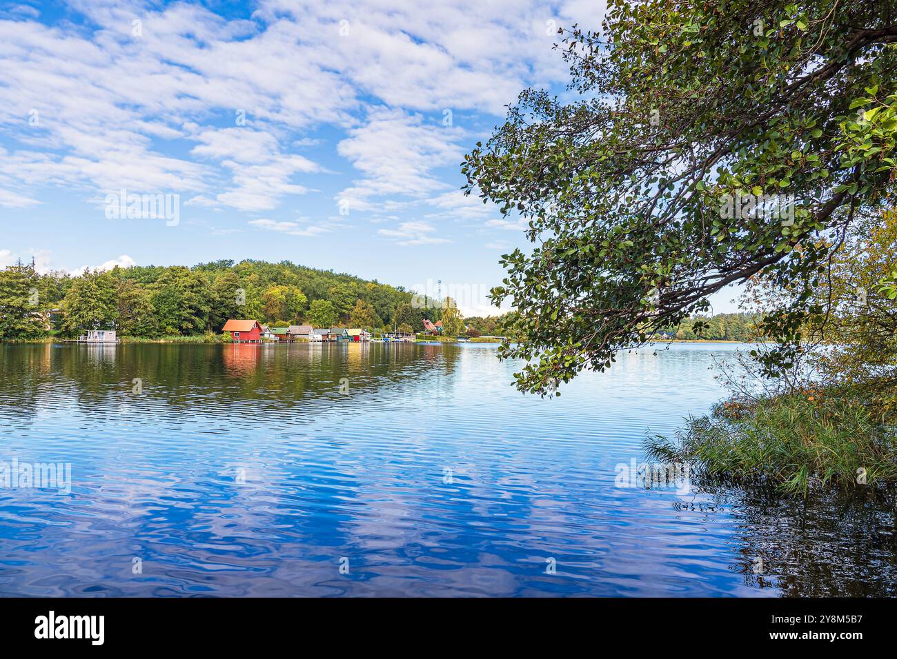 Bootshäuser und Bäume am Krakauer See in der Stadt Krakau am See, Deutschland. Stockfoto