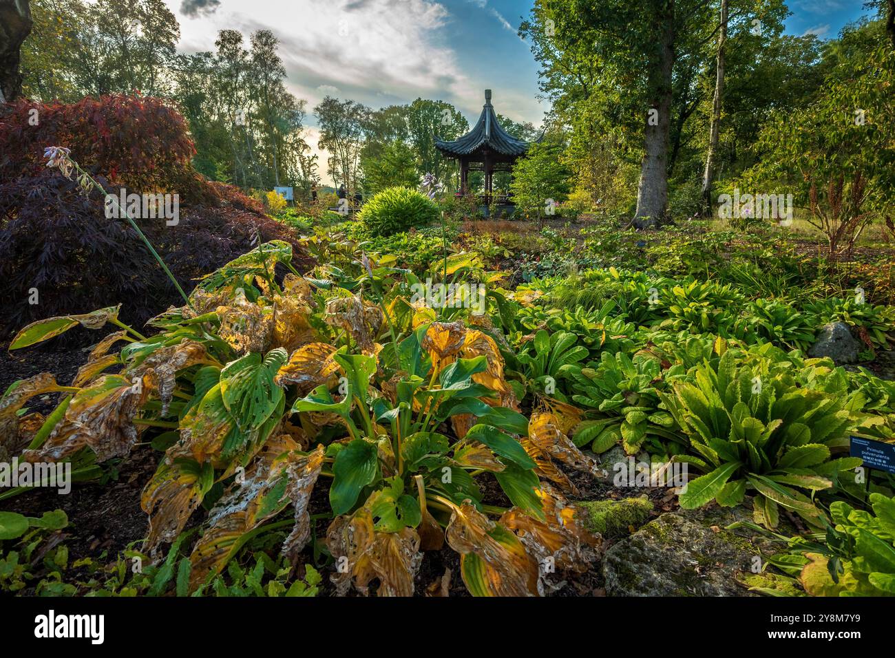 Rechte Seite Bridgewater Garden Worsley Manchester. Stockfoto