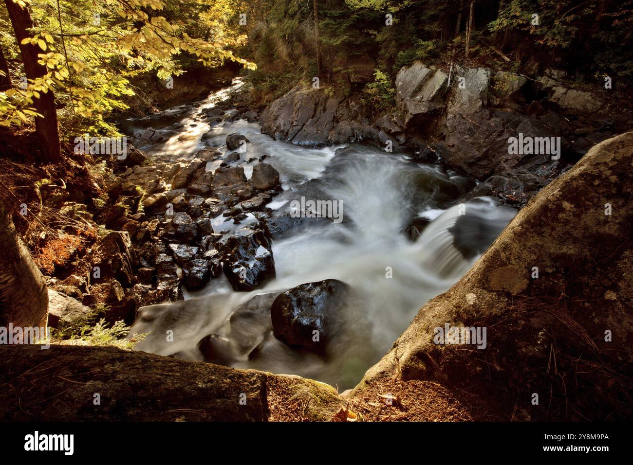 Algonquin Park Muskoka Ontario Herbst Herbstfarben Stockfoto