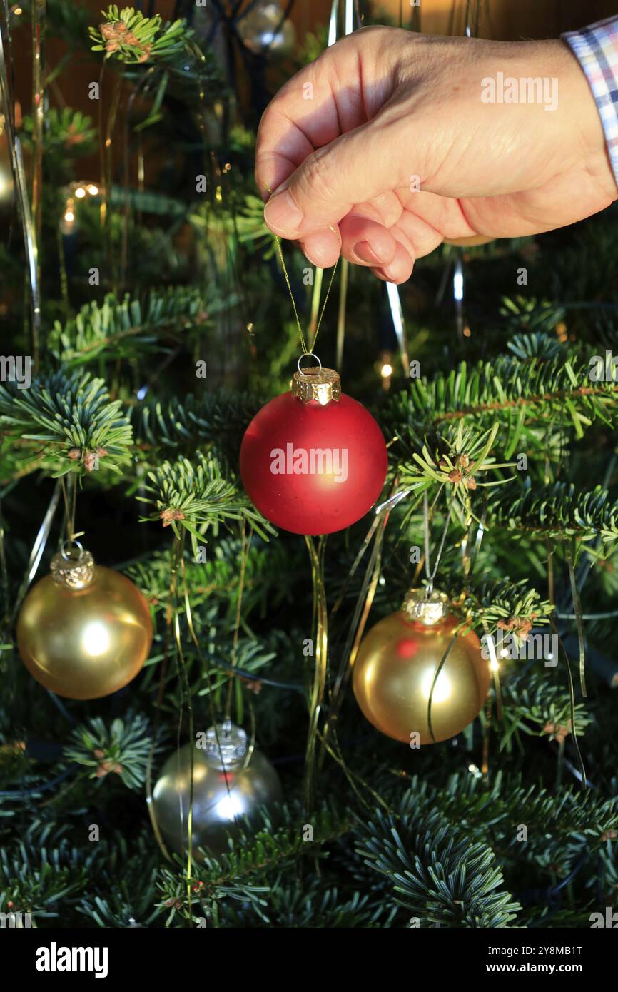 Weihnachtsbaum dekorieren, Dezember, Deutschland, Europa Stockfoto