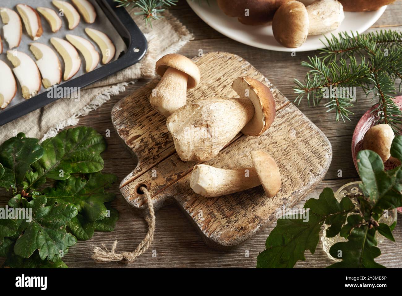Wilde Königsbolete oder Steinpilze auf einem Holztisch Stockfoto