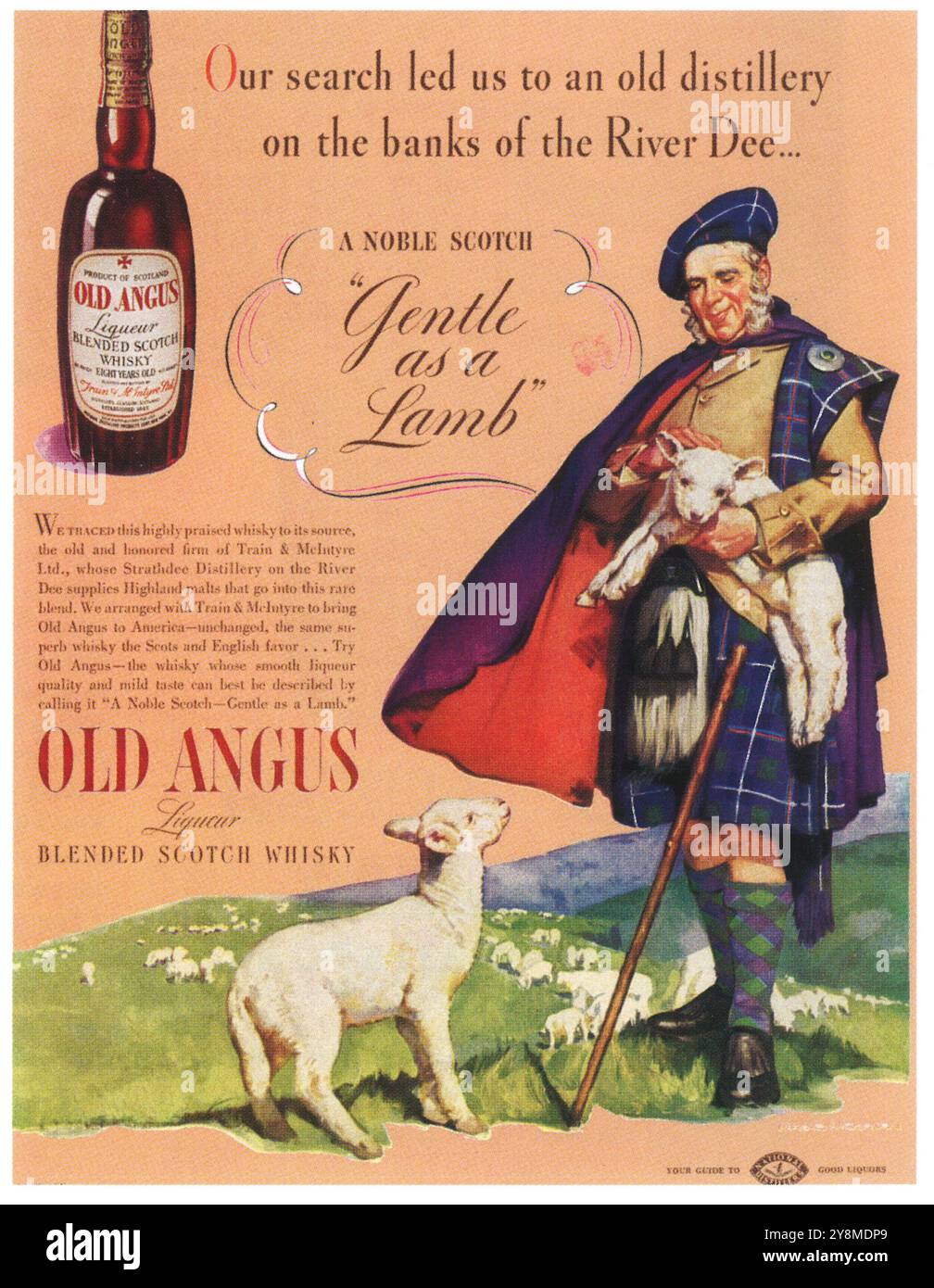 Ähnliche Artikel gesponsertes Feedback zu unseren Vorschlägen | alle 1938 Werbespots für Old Angus Noble Scotch Whiskey anzeigen Stockfoto