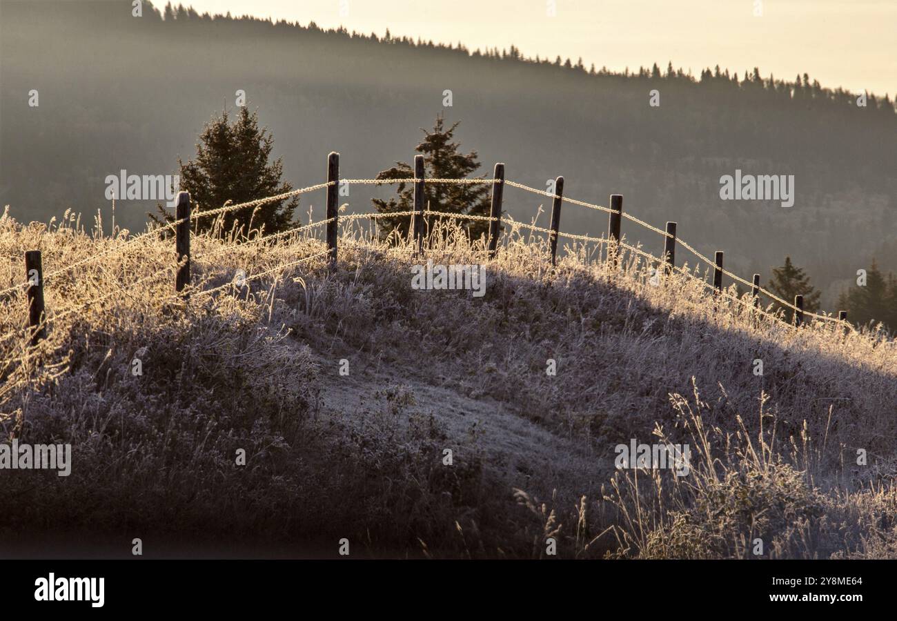 Cypress Hills ersten Schneefall Alberta Saskatchewan Kanada Stockfoto