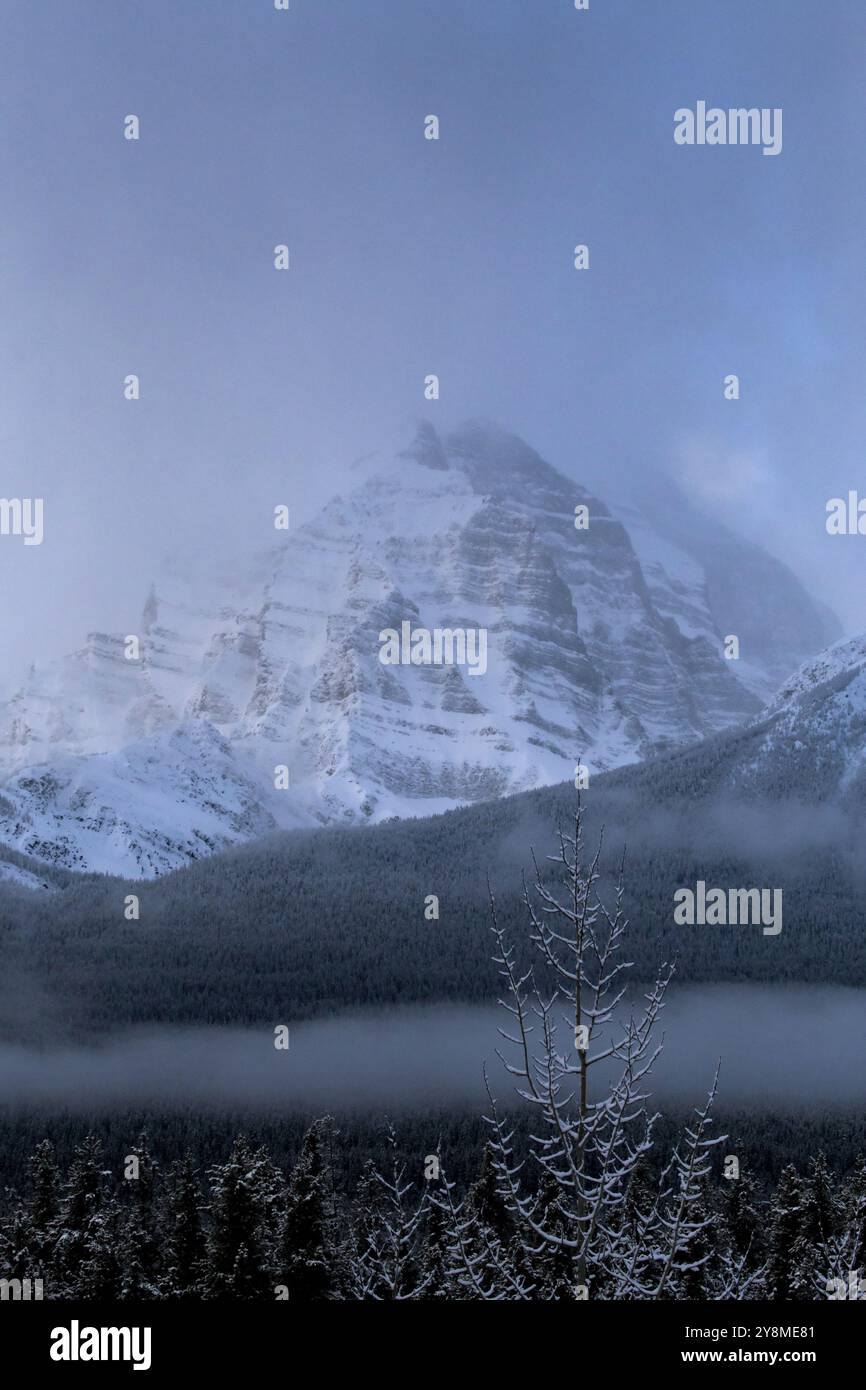 Rocky Mountains in Alberta Kanada Banff Winterpark Stockfoto