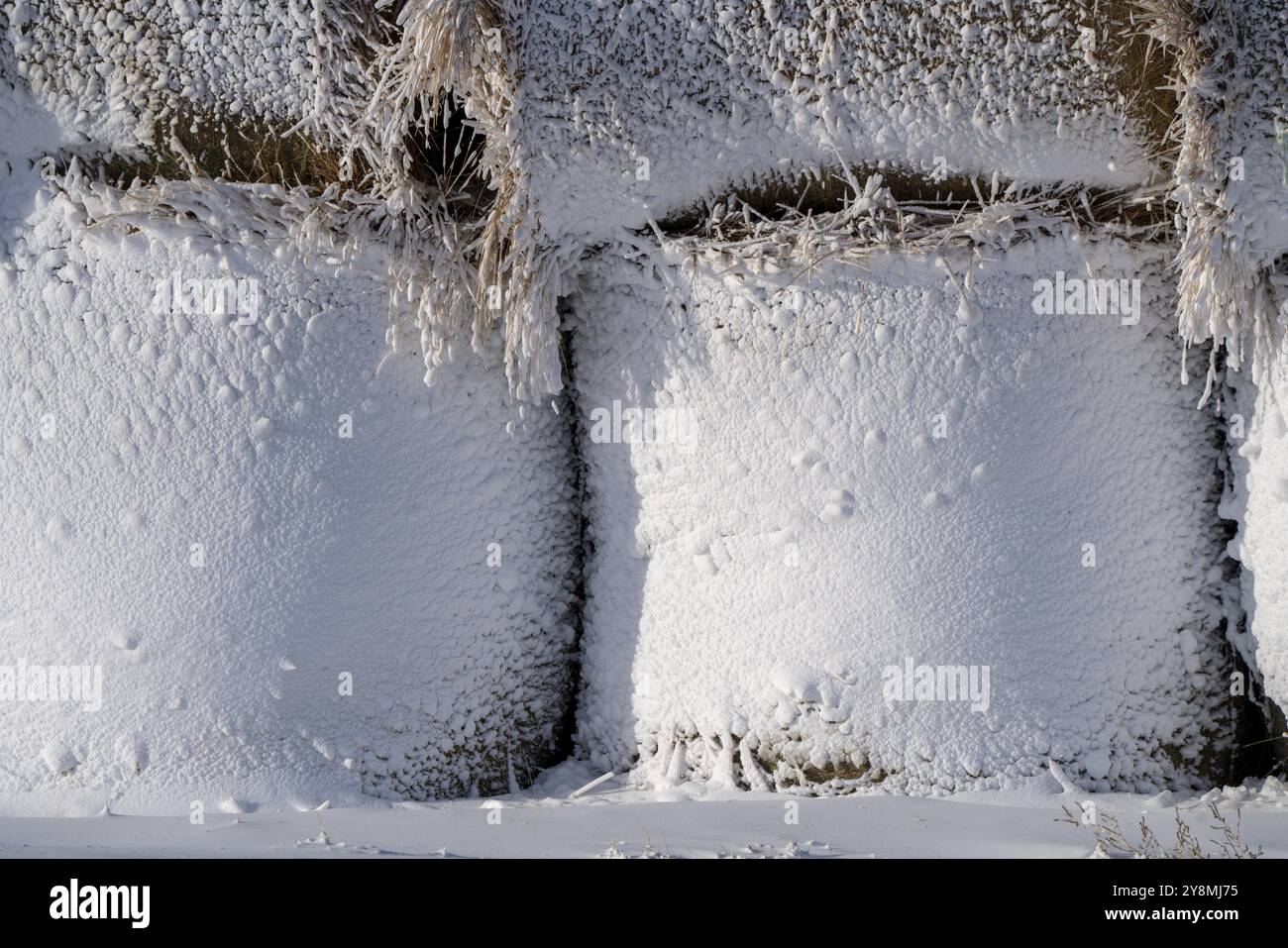 Saskatchewan Ebenen Winter extreme kalte Prärieballen Stockfoto