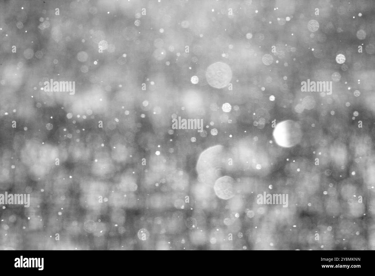 Schnee in der Nähe bis Winter Saskatchewan Kanada Stockfoto