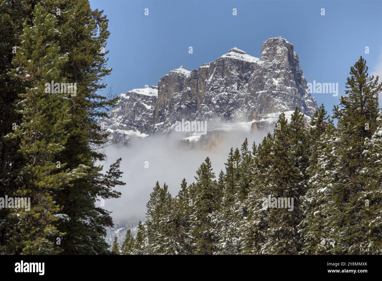 Rocky Mountains Winter fallen Kananaskis Banff Kanada Stockfoto