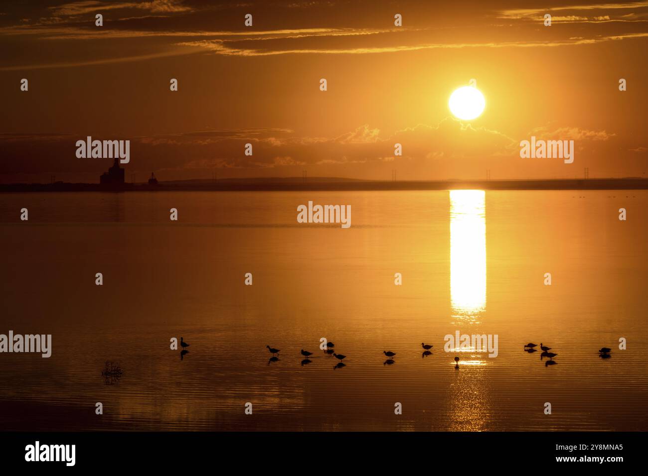 Prairie Sunset Saskatchewan Orange Reflection Canada Stockfoto