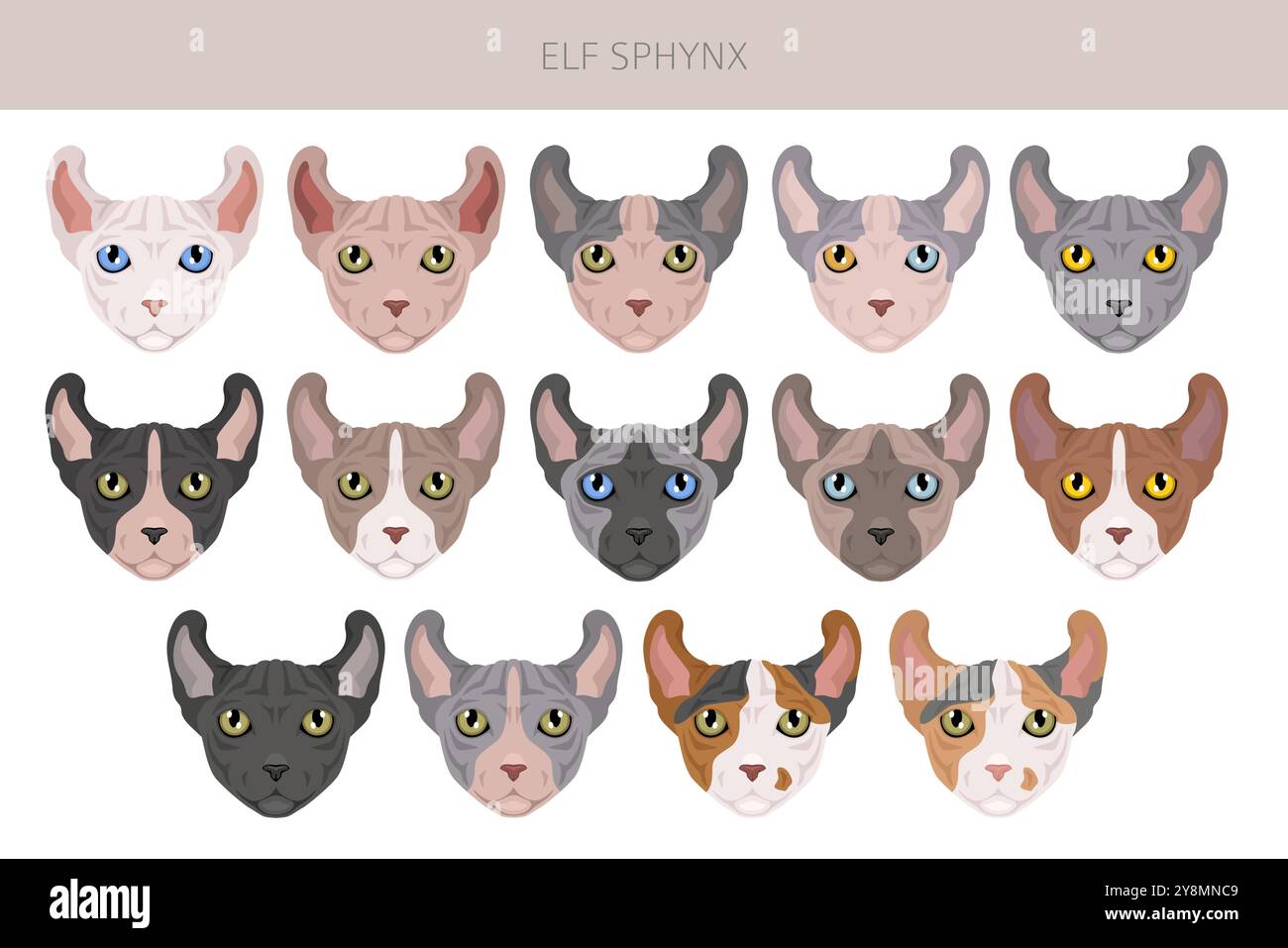 Elf Sphynx Cat Clipart. Alle Lackfarben festgelegt. Infografik zu den Merkmalen aller Katzenrassen. Vektorabbildung Stock Vektor